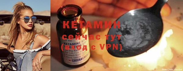 винт Лагань