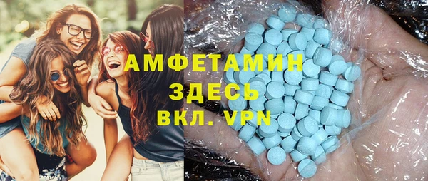винт Лагань