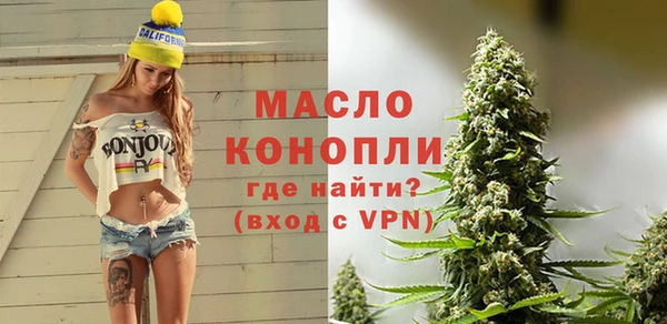 винт Лагань